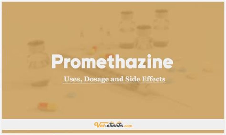 Question: Is Promethazine Good For Dogs
