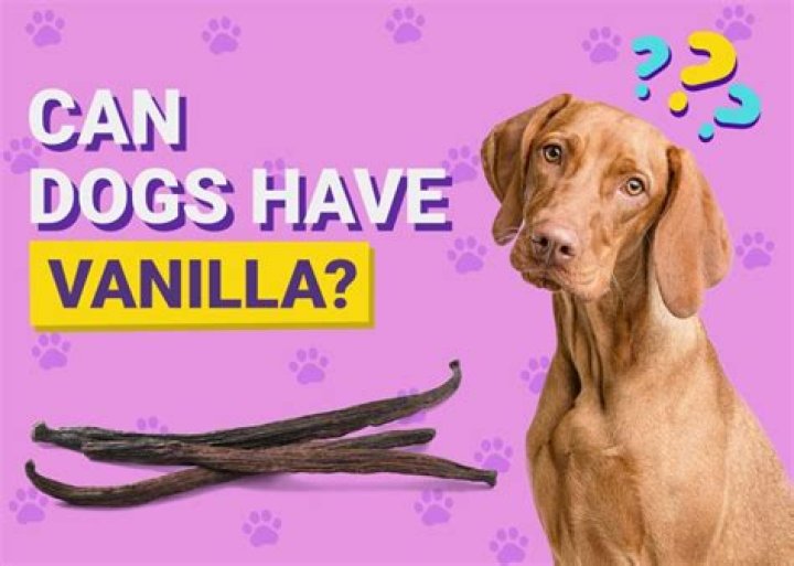 Question: Is Vanilla Frosting Bad For Dogs