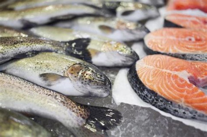 Question: What Are Cold Water Fish To Eat