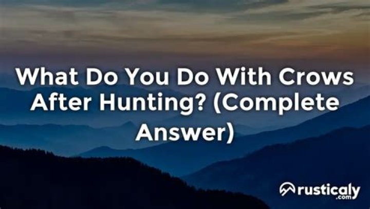 Question: What Do You Do With Crows After Hunting