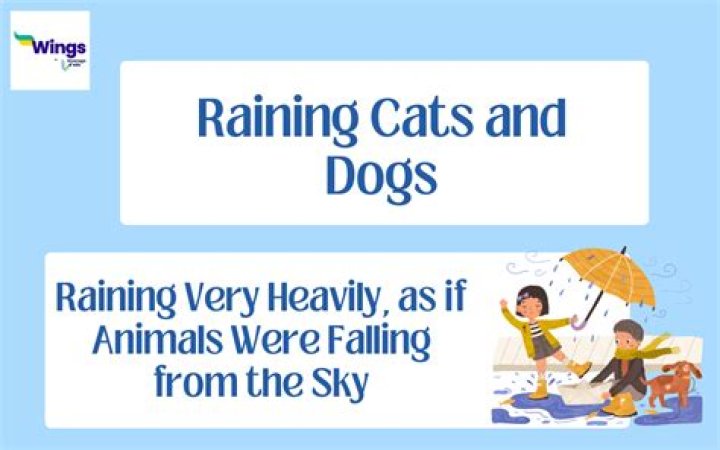 Question: What Figure Of Speech Is Raining Cats And Dogs