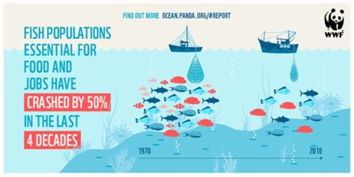 Quick Answer: A Fishery Collapse Occurs When A Fish Population Declines By