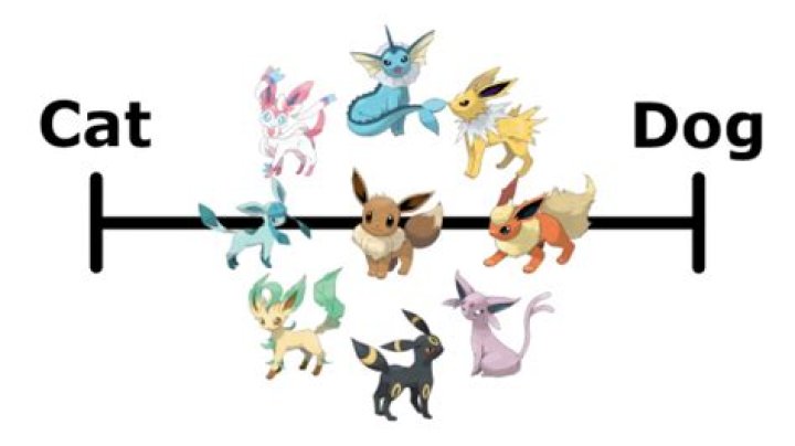 Quick Answer: Are The Eeveelutions Cats Or Dogs