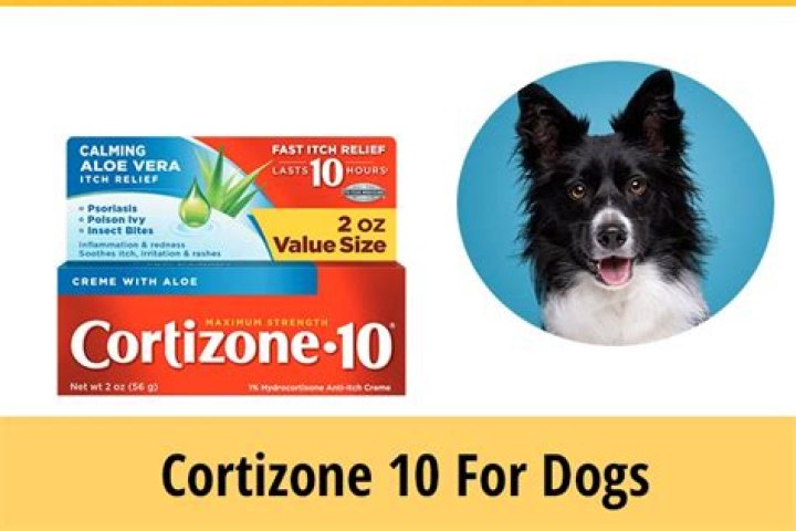 Quick Answer: Can Cortizone 10 Be Used On Dogs Ears