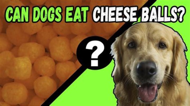 Quick Answer: Can Dogs Eat Cheese Balls
