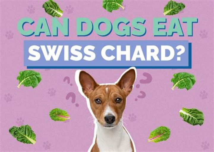 Quick Answer: Can Dogs Eat Swiss Chard