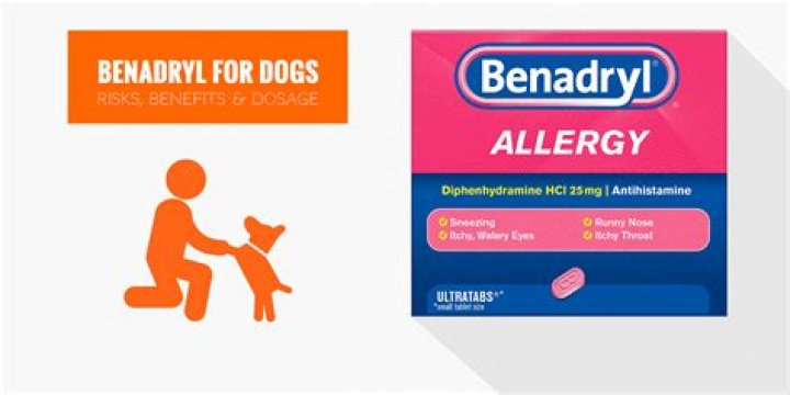 Quick Answer: Can You Use Benadryl Spray On Dogs