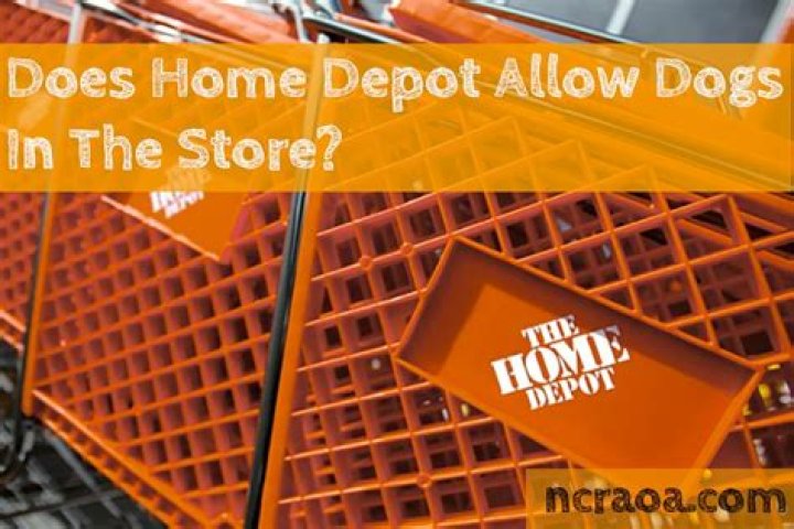Quick Answer: Does Home Depot Allow Dogs