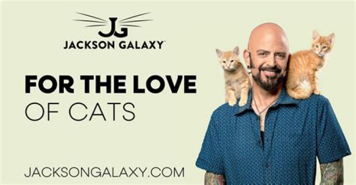 Quick Answer: Does Jackson Galaxy Have Cats Or Dogs