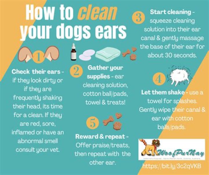 Quick Answer: How Long Does Dog Ear Cleaning Solution Last