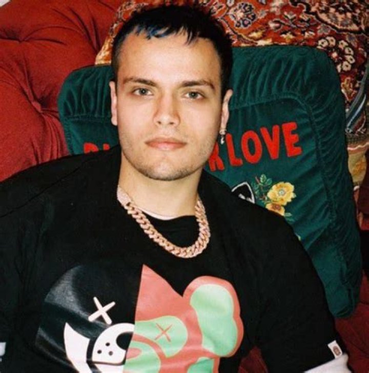 Quick Answer: How Much Does 6 Dogs Net Worth