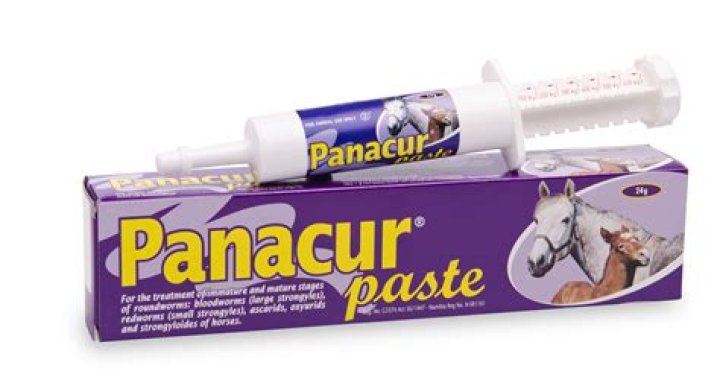 Quick Answer: How Much Panacur Paste For A Dog