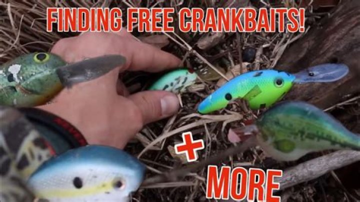 Quick Answer: How To Get Free Fishing Lures