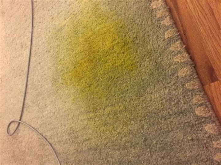 Quick Answer: How To Get Rid Of Turmeric Stains On Carpet