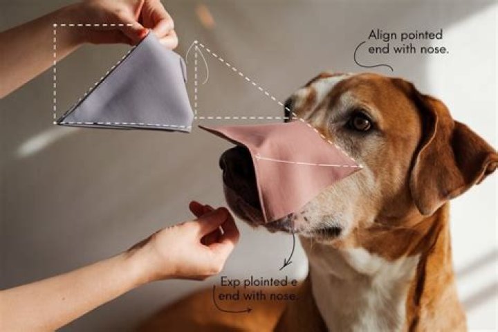 Quick Answer: How To Make A Dog Muzzle Out Of A Leash