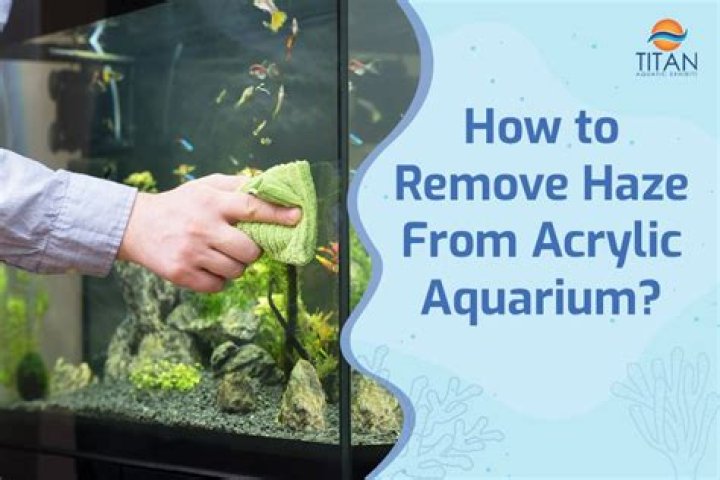 Quick Answer: How To Repair Acrylic Aquarium