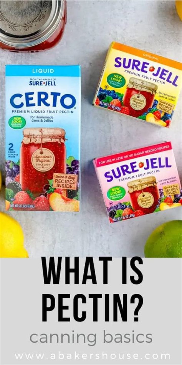 Quick Answer: Is Fruit Pectin Bad For Dogs