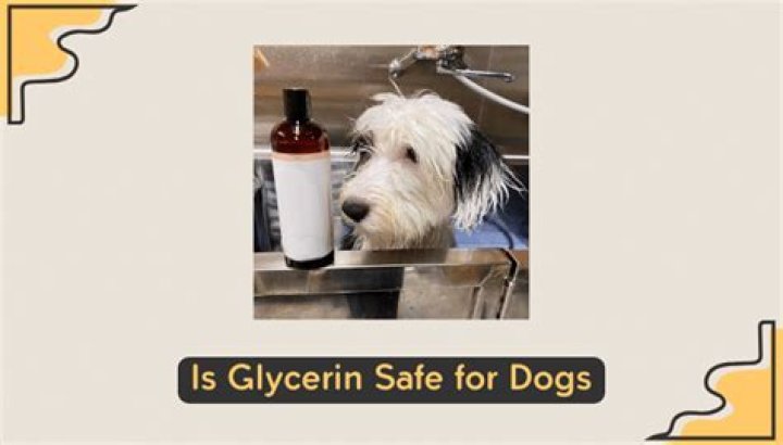 Quick Answer: Is Glycerin Safe For Dogs