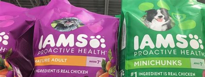 Quick Answer: Is Iams Actually Good For Dogs