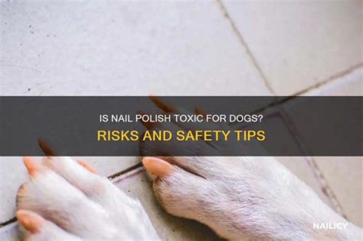 Quick Answer: Is Nail Polish Bad For Dogs To Eat