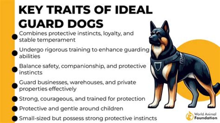 Quick Answer: Is On Guard Safe For Dogs