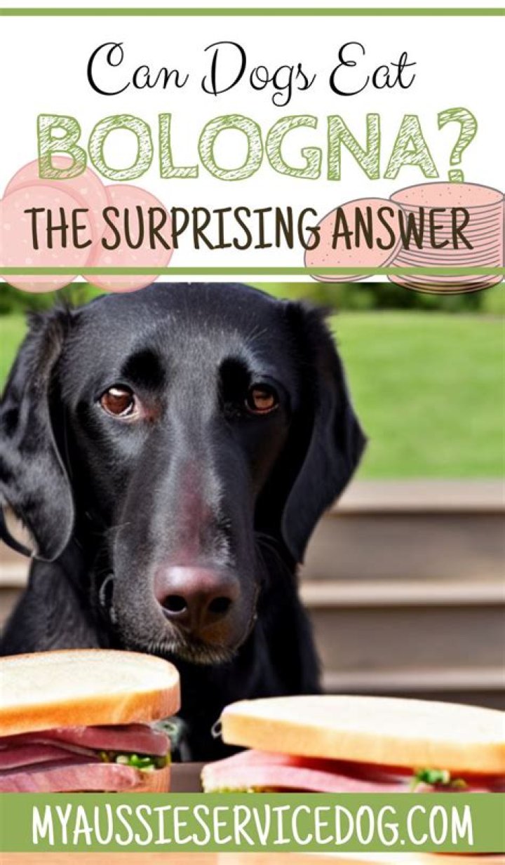 Quick Answer: What Bologna Is Bad For Dogs