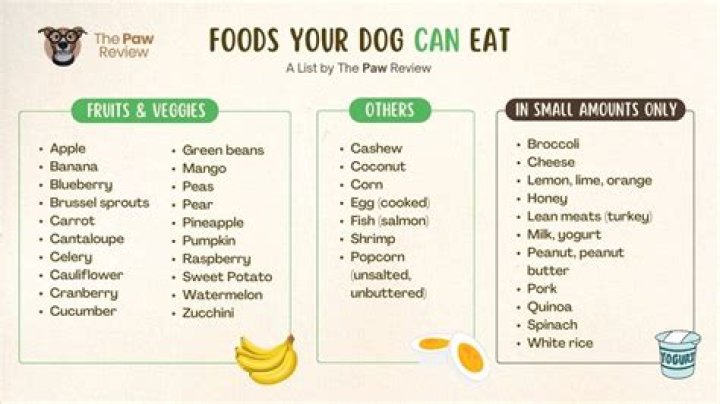 Quick Answer: What Can You Feed Dogs For Breakfast
