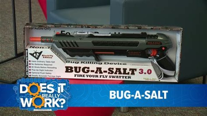 Quick Answer: What Is Bug A Salt