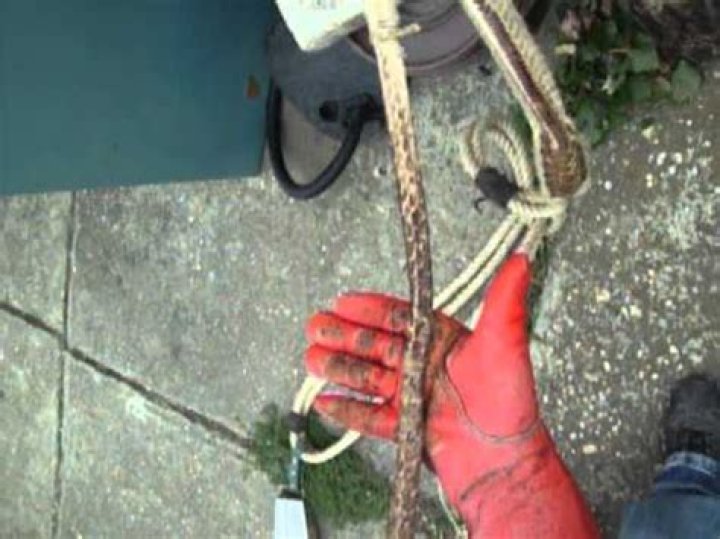 Quick Answer: What Is Bull Riding Rosin Made Of