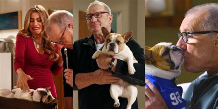 Quick Answer: What Kind Of Dog Is Stella On Modern Family