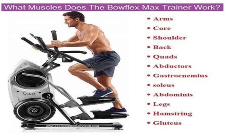 Quick Answer: What Muscles Does The Bowflex Max Trainer Work