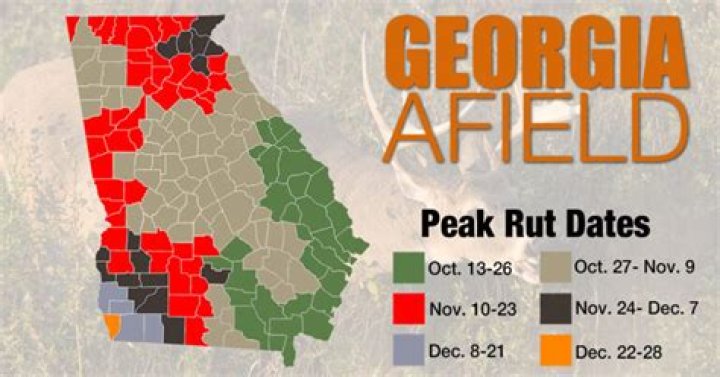 Quick Answer: When Does Duck Hunting Season End In Georgia