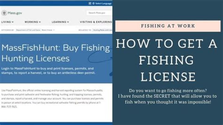 Quick Answer: Where To Get Fishing License Meijer