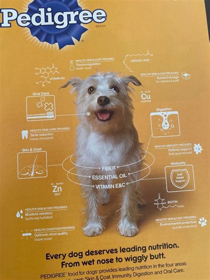 Quick Answer: Why Pedigree Dog Food Is Bad