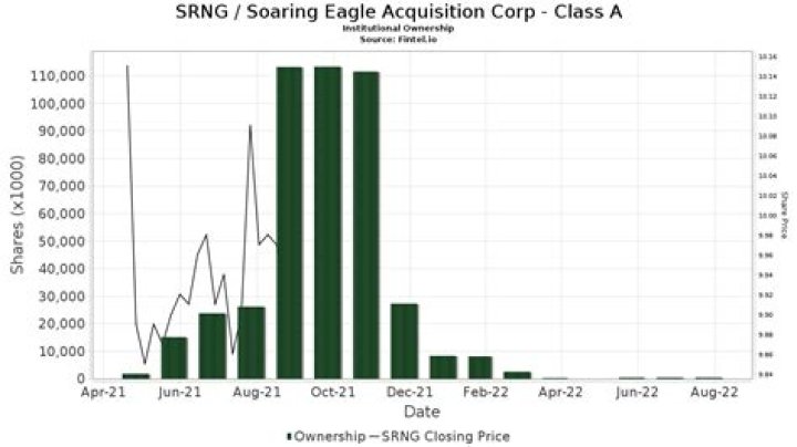 Soaring eagle acquisition corp - How To Discuss