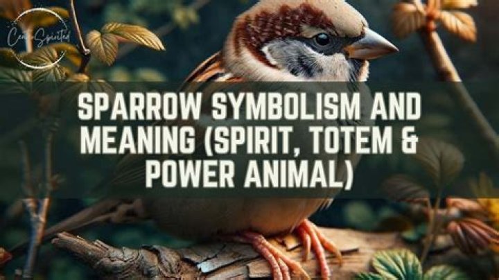 Sparrow Symbolism - How To Discuss