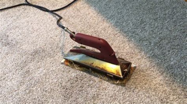 Stainmaster Carpet - How To Discuss