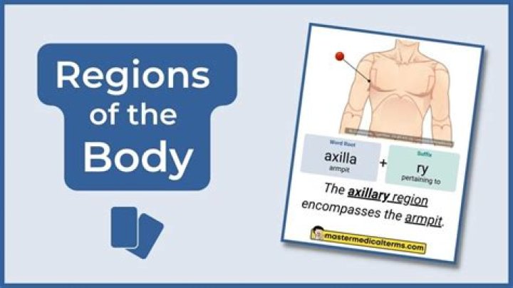 Ton O Medical Term - How To Discuss