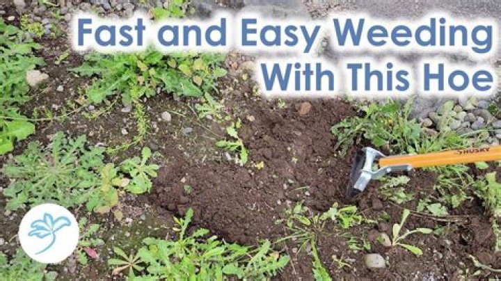 Weeding - How To Discuss