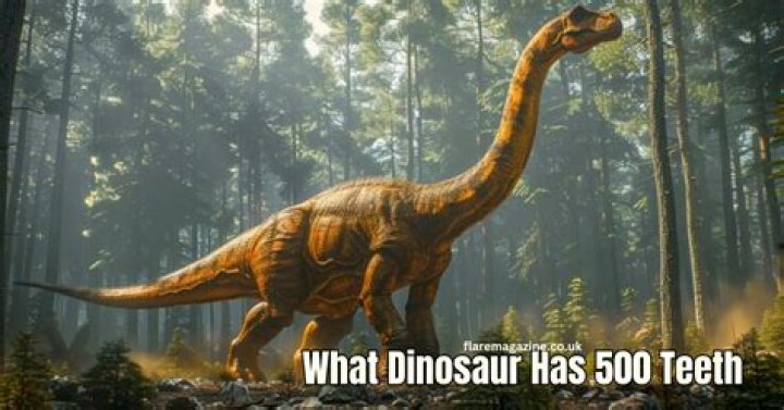 What Dinosaur has 500 Teeth?