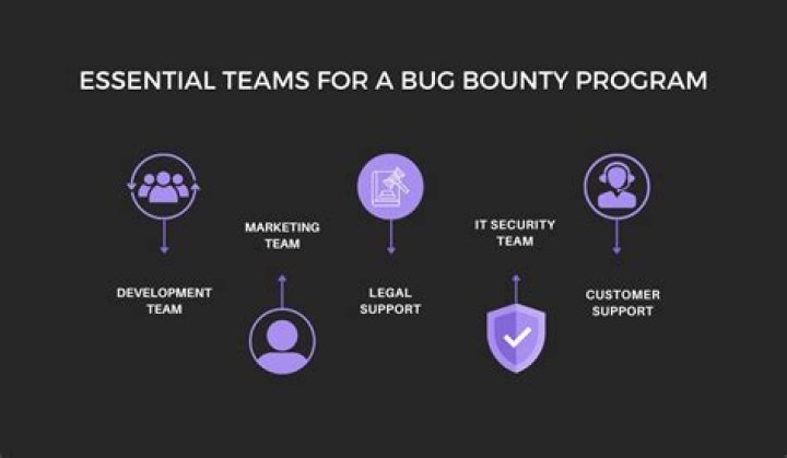 What does bug bounty program mean