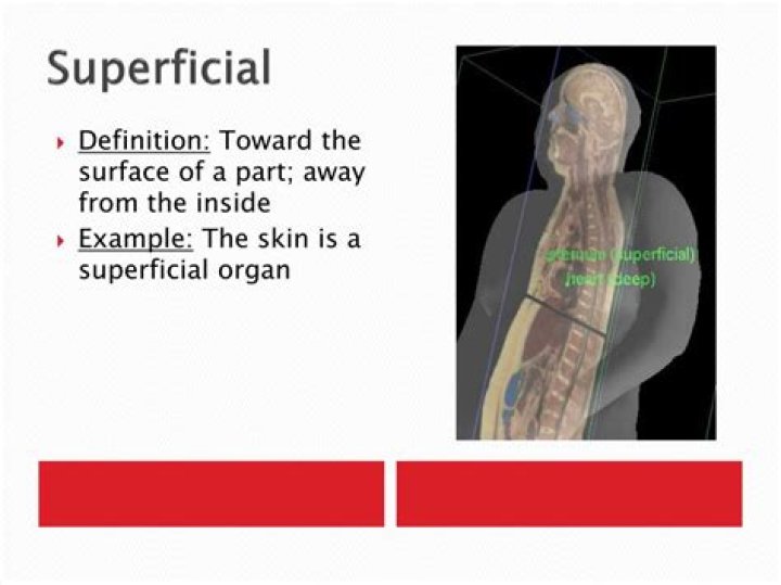 What Does Superficial Mean - How To Discuss