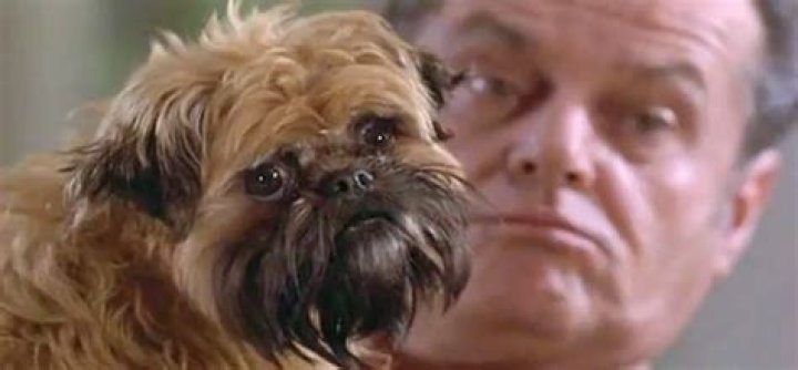 What Dog Is In As Good As It Gets