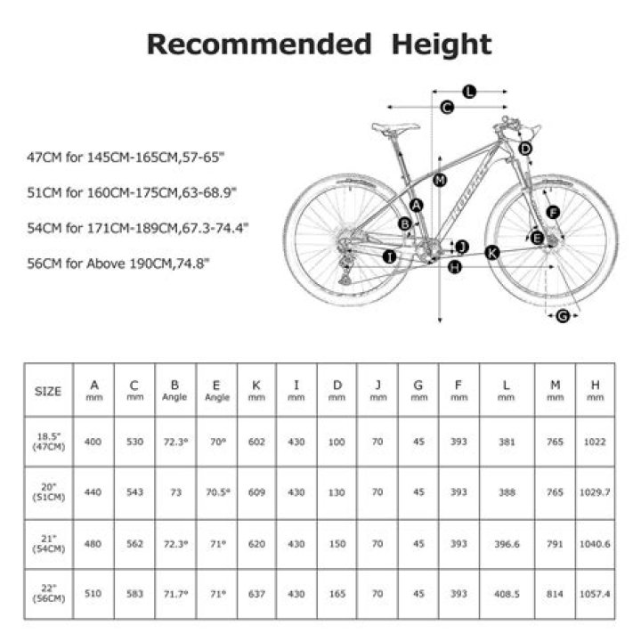What Is A 56Cm Bike Frame