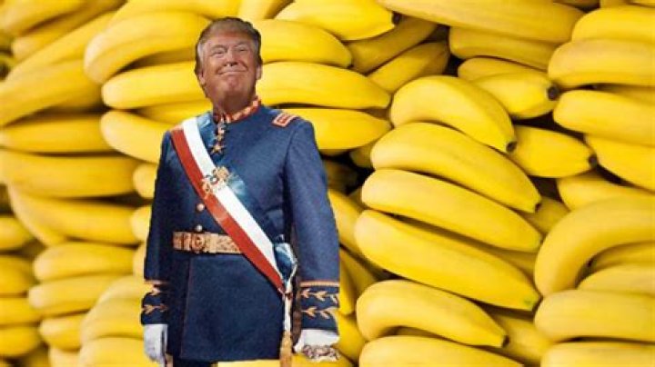 What is a banana republic