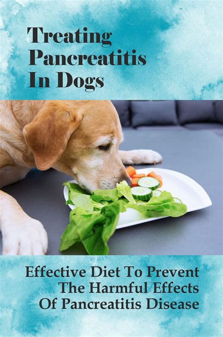 What Vegetables Are Good For Dogs With Pancreatitis