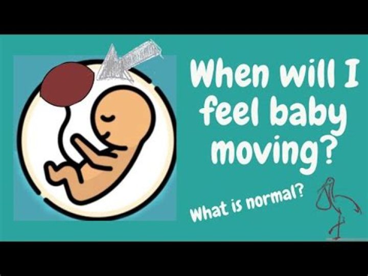 When will i start to feel my baby move