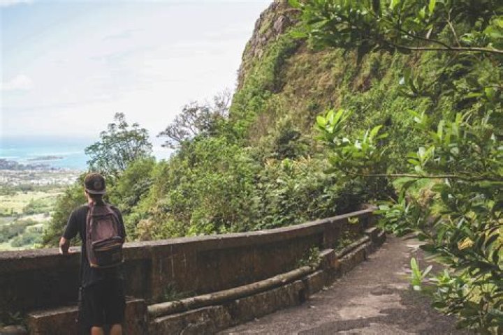 Where To Park For Old Pali Highway Hike
