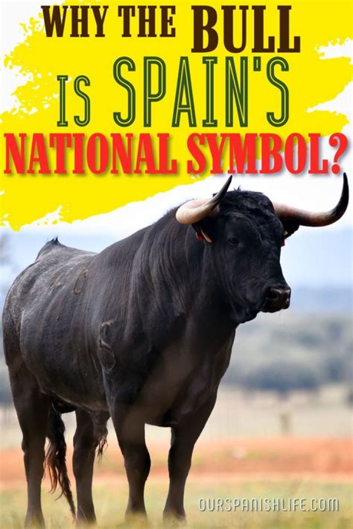 Why Is The Bull The National Symbol Of Spain