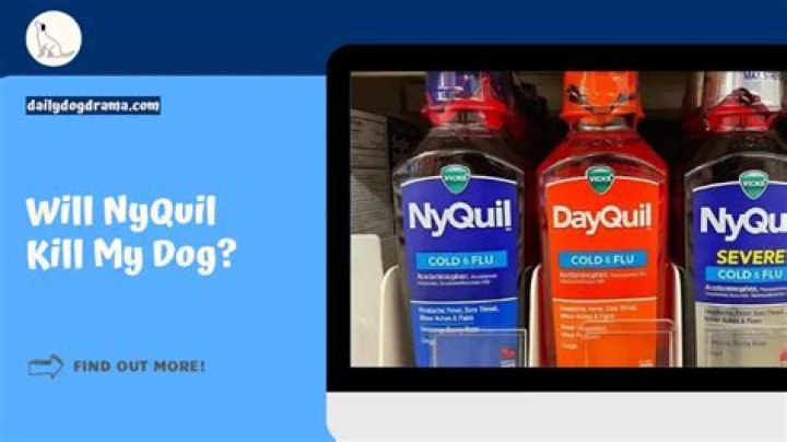 Will Bleach Water Kill My Dog